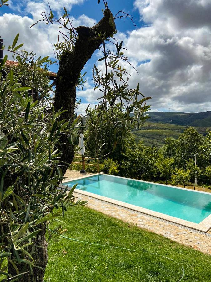 Vila Quinta Outono Dourado Montalegre Exteriér fotografie