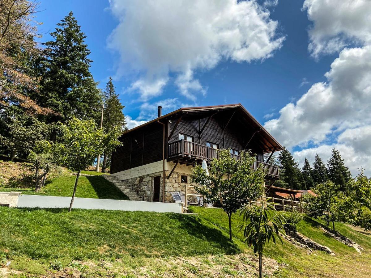 Vila Quinta Outono Dourado Montalegre Exteriér fotografie