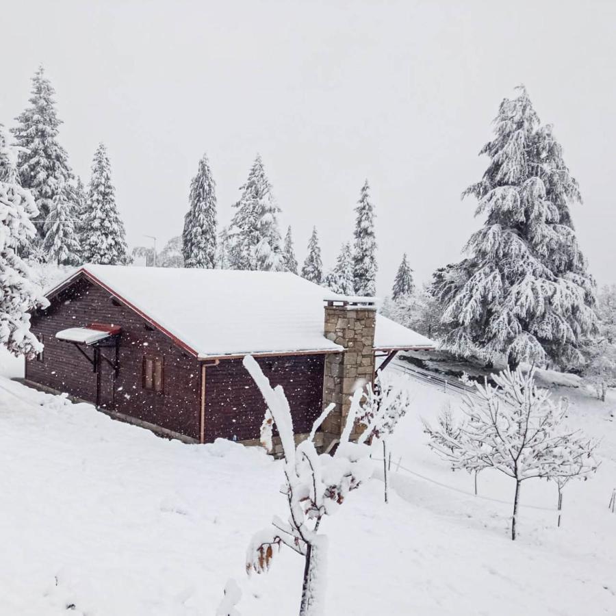 Vila Quinta Outono Dourado Montalegre Exteriér fotografie