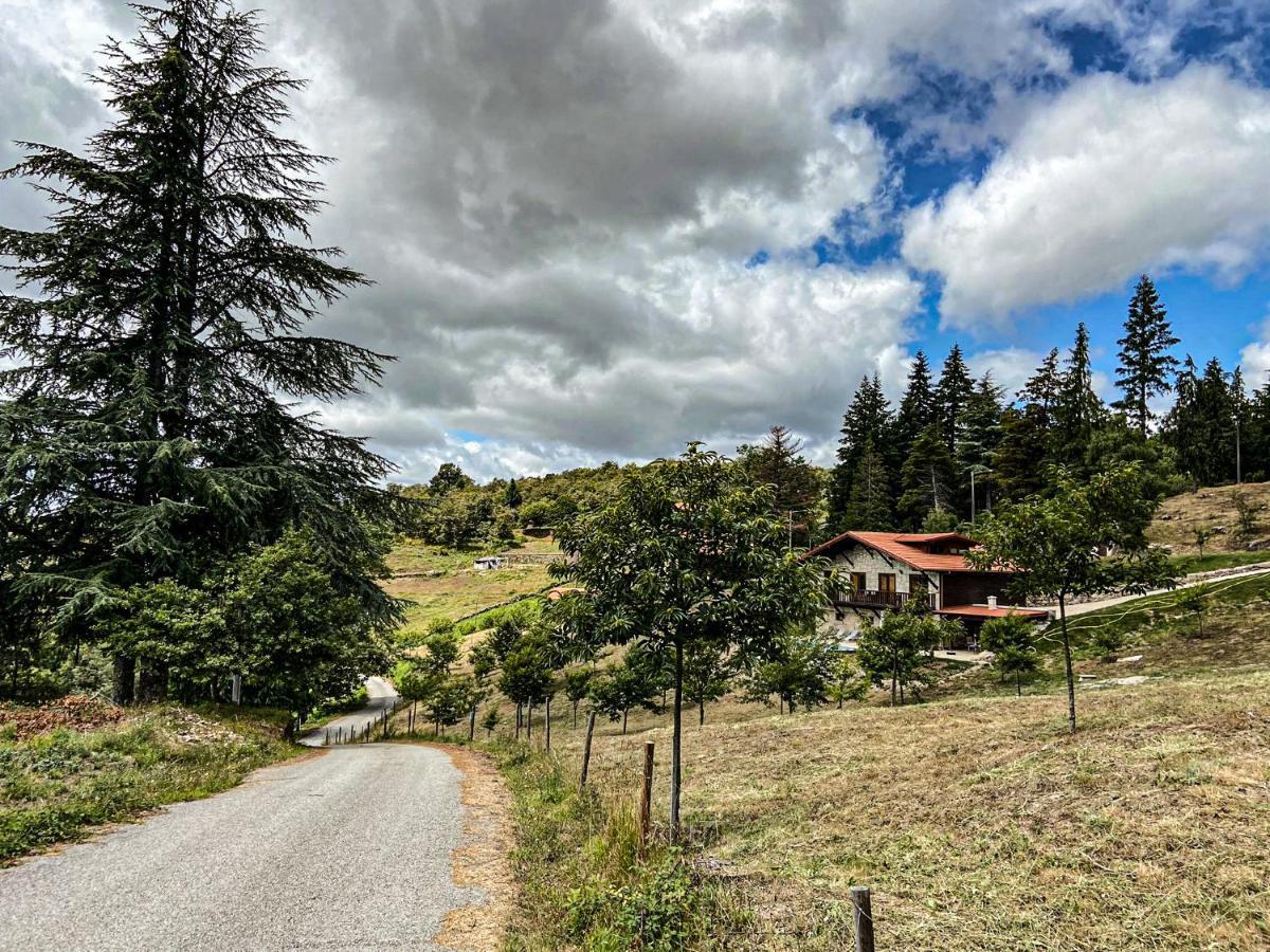 Vila Quinta Outono Dourado Montalegre Exteriér fotografie